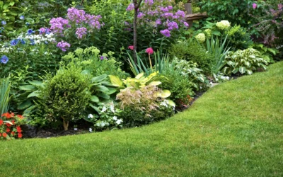 Top Landscaping Tips and Best Practices from Phil Cini Realty Group